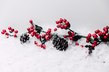 berries and pine cones in snow 