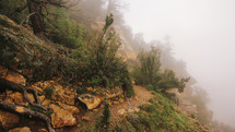 fog over a canyon cliff 