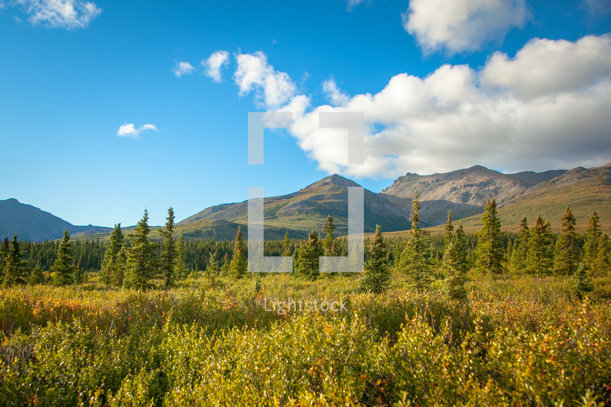 Alaskan mountain range landscape with clouds and trees