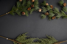 artificial evergreen branches on a black background 