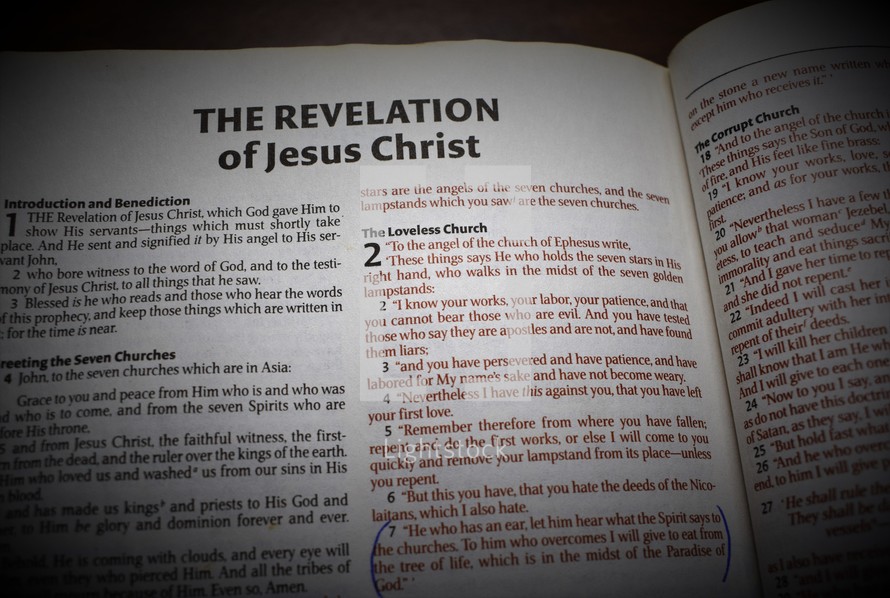Book of Revelation 