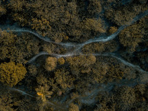 aerial view over paths in a forest 