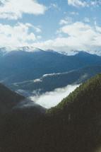 clouds over a mountain pine forest 
