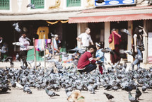 feeding pigeons in Tibet