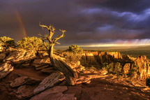 Sunrise on the Colorado National Monument in Grand Junction, Colorado