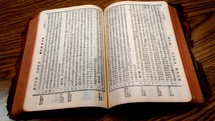 open Japanese print Bible 
