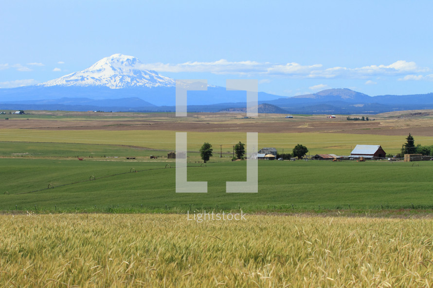 farmland in front of a snow covered mountain peak