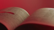 Bible and Blood