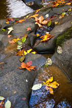 Fall leaves on rocks near creek.
