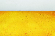 beer and beer foam background 