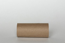 empty toilet paper roll 