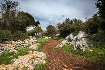 trail on a hillside 