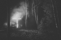 lights shining on a cross at night in a forest 