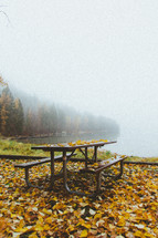 picnic table in fall leaves by a lake shore 