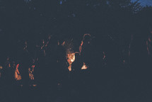 sitting around a campfire at night 