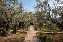 garden path in the holy land 