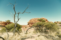 Australian Outback 