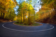 hairpin turn on a road through a forest 