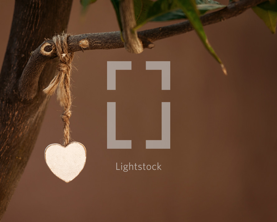 wooden heart hanging on a branch