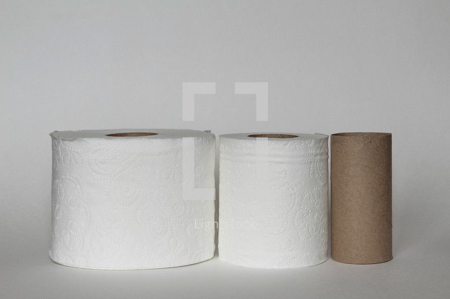 toilet paper rolls