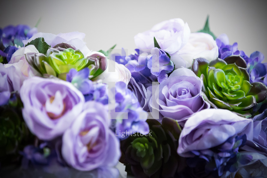 blue and purple flowers 