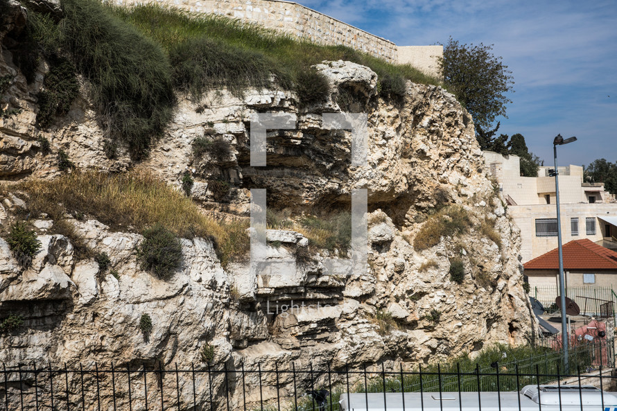 grasses growing on a rock wall in Jerusalem 