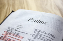 Psalms, highlighted pages of a Bible 