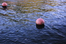 floating buoys on the lake 