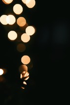 garland and christmas lights