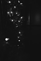 garland and Christmas lights 