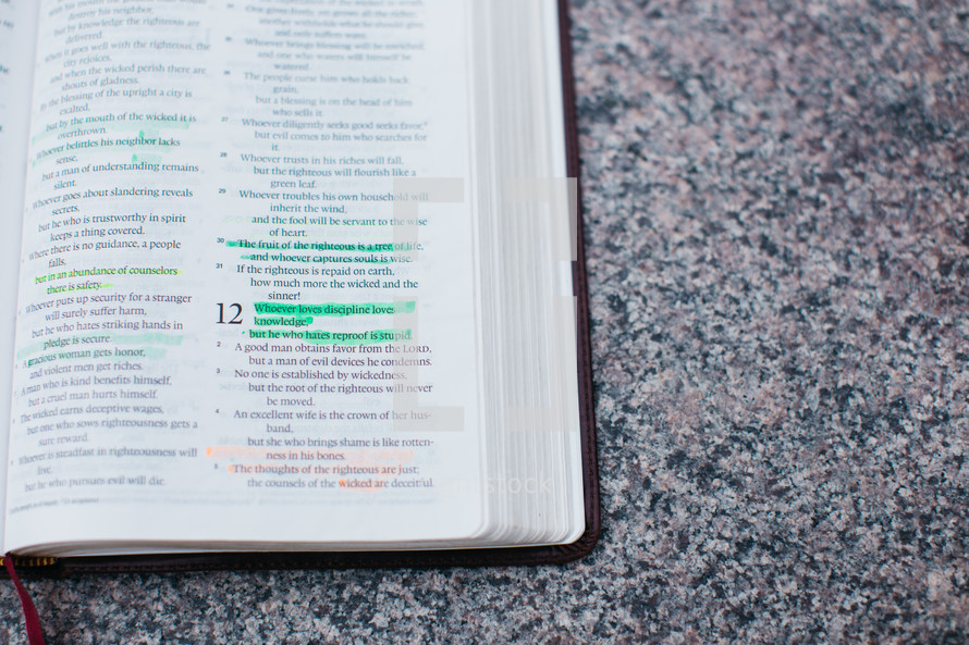 highlighted pages of a Bible 