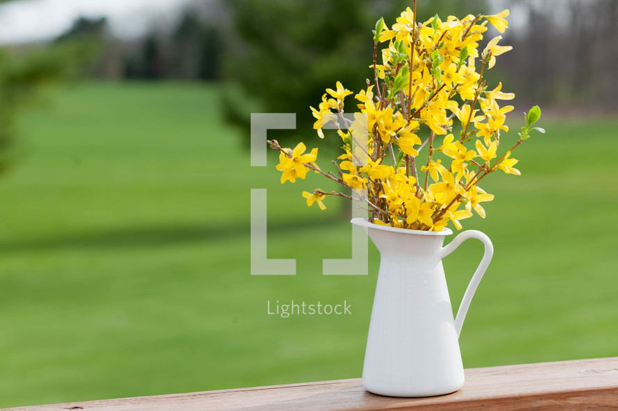 yellow flowers in a pitcher on a wood railing 