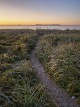 path through a marsh 