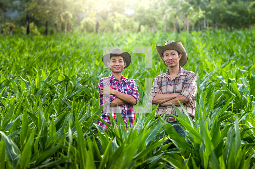 farmers in a corn field 