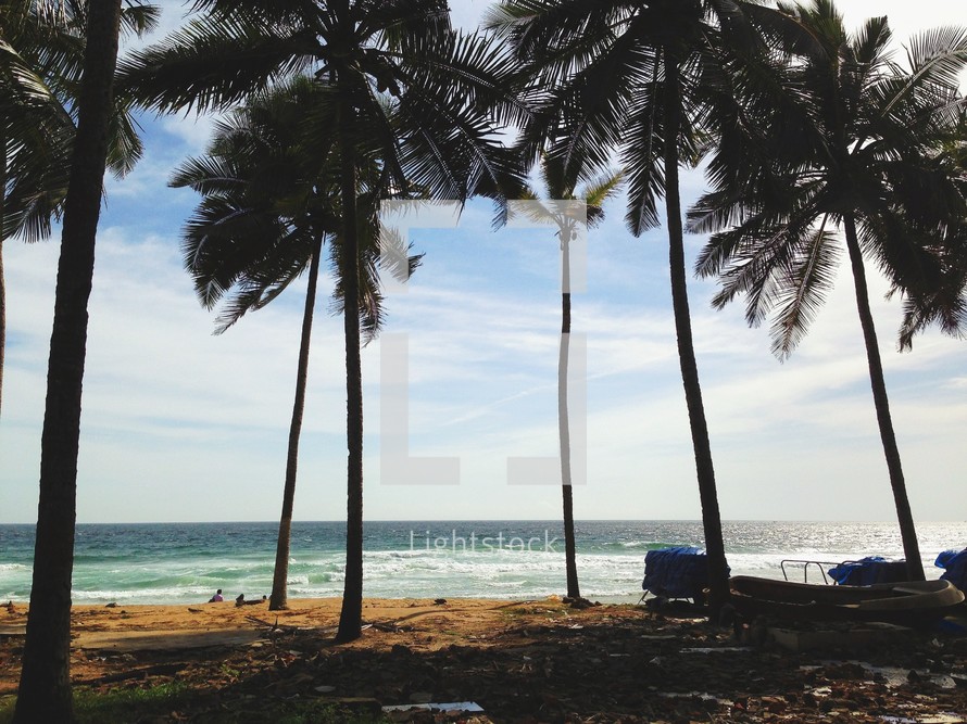 Palm trees over a tropical beach. 