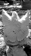 angel statue in a cemetery 