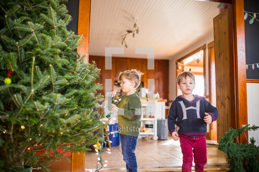 kids putting up Christmas lights on a Christmas tree 