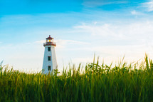 tall grasses and lighthouse along a shore 