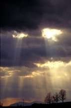 Sun shinning through the clouds in a pattern often referred to as "God Beams" Three trees in foreground.