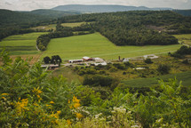farm and green landscape 