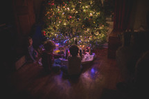 boys playing under a Christmas,tree