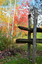 autumn trees and country fence (vertical)