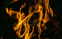 flames from a fire background 