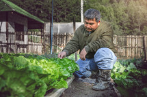a farmer working in a vegetable garden 