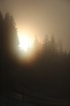 halo of sunlight in fog 