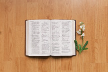 flower and open Bible on a wooden table 
