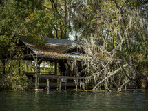 old dock covered by tree branches 