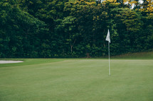 flag on a green at a golf course 