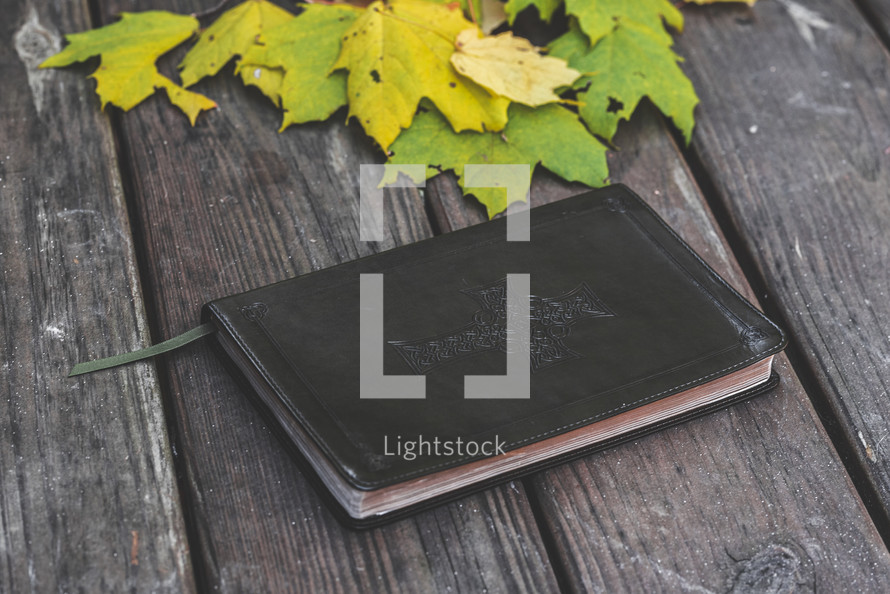 cover of a Bible and autumn leaves on a wood background 