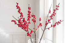 red berries on a twig in a vase